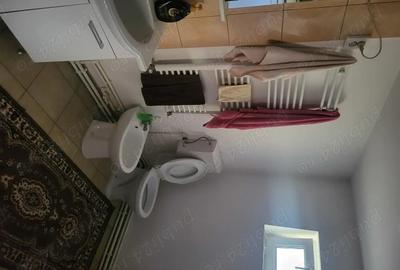 Casă cu 2 camere în Vitănești - 6