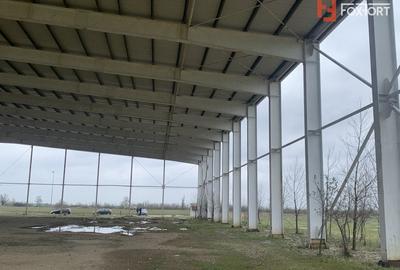 Spațiu industrial, de 5,500 mp, în Sânandrei - 8