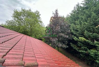 Casă individuală cu 10 camere cu Canalizare în Bujoreni - 25
