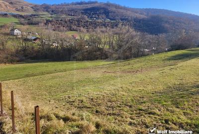 Teren Construcții intravilan de 6179 mp, în Tăuți - 2