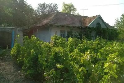 Casă cu 3 camere în Rebricea - 1