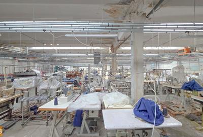 Spațiu industrial, de 5,211 mp, în Turnu Măgurele - 9