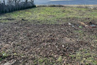 Teren de 2000 mp, în Traian - 10