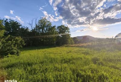 Teren de 2000 mp, în Dăești - 6