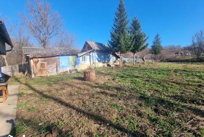 Casă cu 4 camere cu Teren 3686 Mp în Central - 4