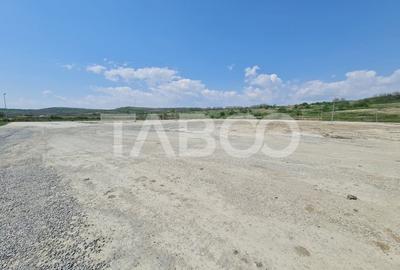 Teren Construcții intravilan de 40000 mp, în Teiuș - 2