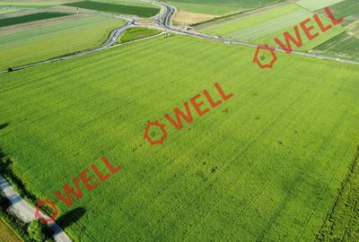Teren agricol extravilan de 45000 mp, în Chichiș - 4