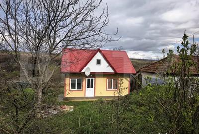 Casă cu 2 camere cu Teren 1154 Mp în Schitu Duca - 1