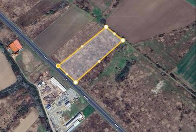 Teren Construcții extravilan de 16800 mp, în Central - 2