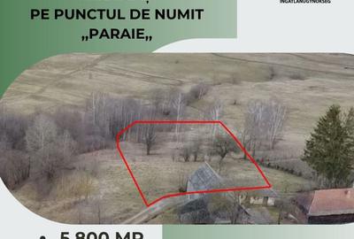 Teren extravilan de 5800 mp, în Sărămaș