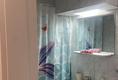 Apartament cu 2 camere, mobilat în Drumul Taberei
