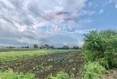 Teren Construcții intravilan de 3250 mp, în Stupini - 5