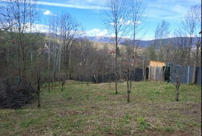 Teren de 873 mp, în Central