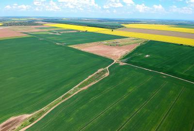 Teren Construcții intravilan de 660 mp, în Frumușani - 5