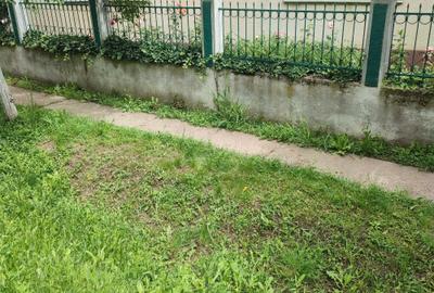 Casă cu 3 camere în Poclușa de Barcău - 2