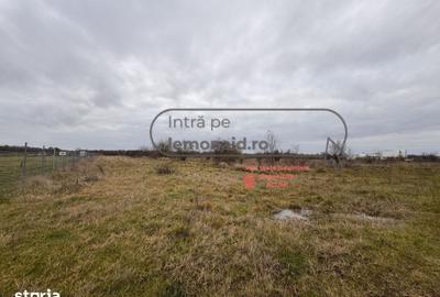 Teren de 3200 mp, în Șag