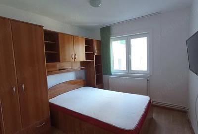 Apartament cu 2 camere semidecomandat în Viziru 1