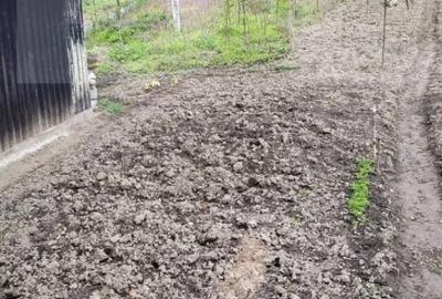 Casă cu 2 camere cu Teren 1628 Mp în Central - 4