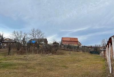 Teren de 1000 mp, în Vidra