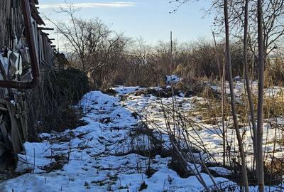Teren de 3500 mp, în Brădăcești - 6