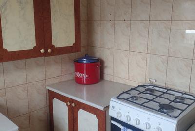 Casă individuală cu 6 camere cu Canalizare în Palazu Mare - 5