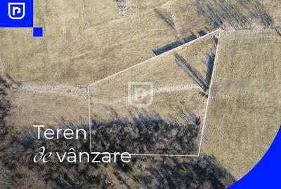Teren Construcții extravilan de 2250 mp, în Voroneț - 1