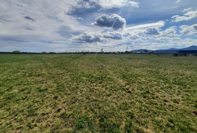 Teren Construcții intravilan de 3600 mp, în 1 Mai