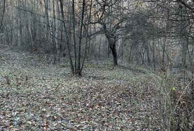 Teren de 15000 mp, în Valea