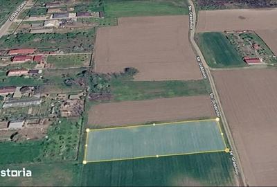 Teren de 1600 mp, în Moara Vlăsiei