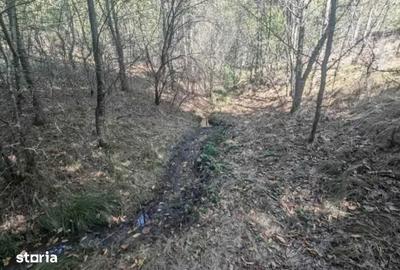 Teren de 1000 mp, în Central