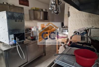 Casă individuală cu 8 camere cu Teren 4500 Mp în Măgura - 12