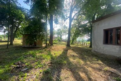 Casă individuală cu 10 camere cu Canalizare în Balinț - 4
