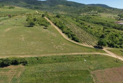 Teren de 928 mp, în Covăsinț - 1