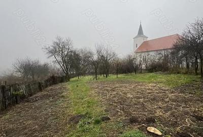 Casă cu 3 camere cu Teren 1114 Mp în Vechea - 7