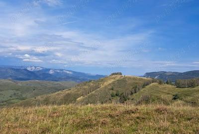 Teren în Râmeț - 3