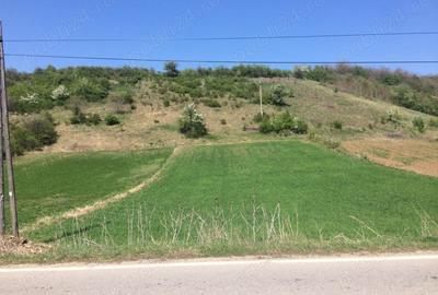 Teren de 3200 mp, în Berzasca - 3