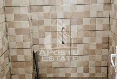 Spațiu comercial, de 300 mp, în Gai - 14