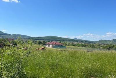 Teren de 12000 mp, în Central - 1