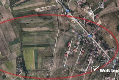 Teren Construcții intravilan de 1000 mp, în Borhanci - 6