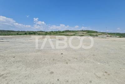 Teren Construcții intravilan de 40000 mp, în Teiuș - 5