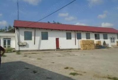 Spațiu comercial, de 700 mp, în Central - 6