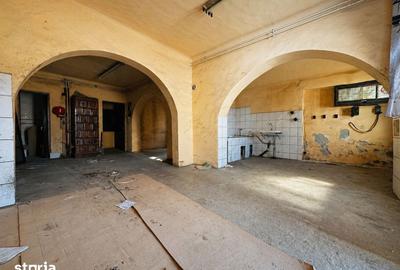 Spațiu comercial, de 150 mp, în Iorga - 3