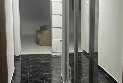 Apartament cu 3 camere decomandat în Banat - 3