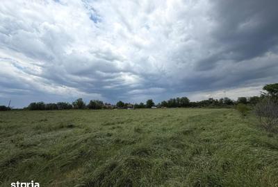 Teren de 9375 mp, în Mofleni - 3