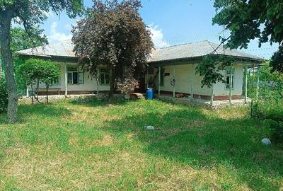 Casă cu 4 camere cu Teren 1490 Mp în Tămăoani - 9