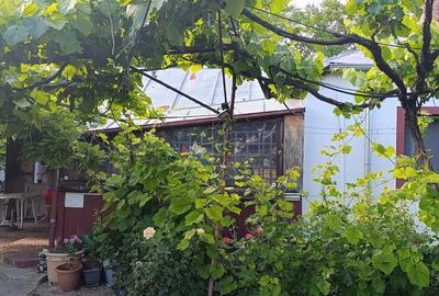 Casă cu 4 camere cu Teren 2500 Mp în Romanu - 2