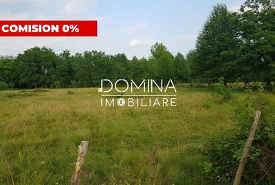 Teren Construcții intravilan de 6843 mp, în Polovragi - 1