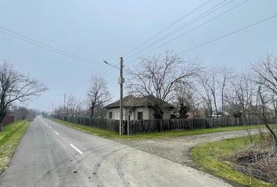 Casă cu 4 camere cu Teren 1820 Mp în Valea Presnei - 2