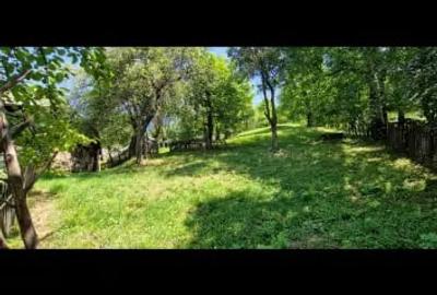 Teren de 2300 mp, în Nucșoara - 4