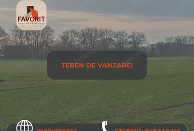 Teren de 42000 mp, în Remetea Mare